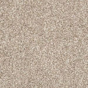 neutral brown in stock carpet